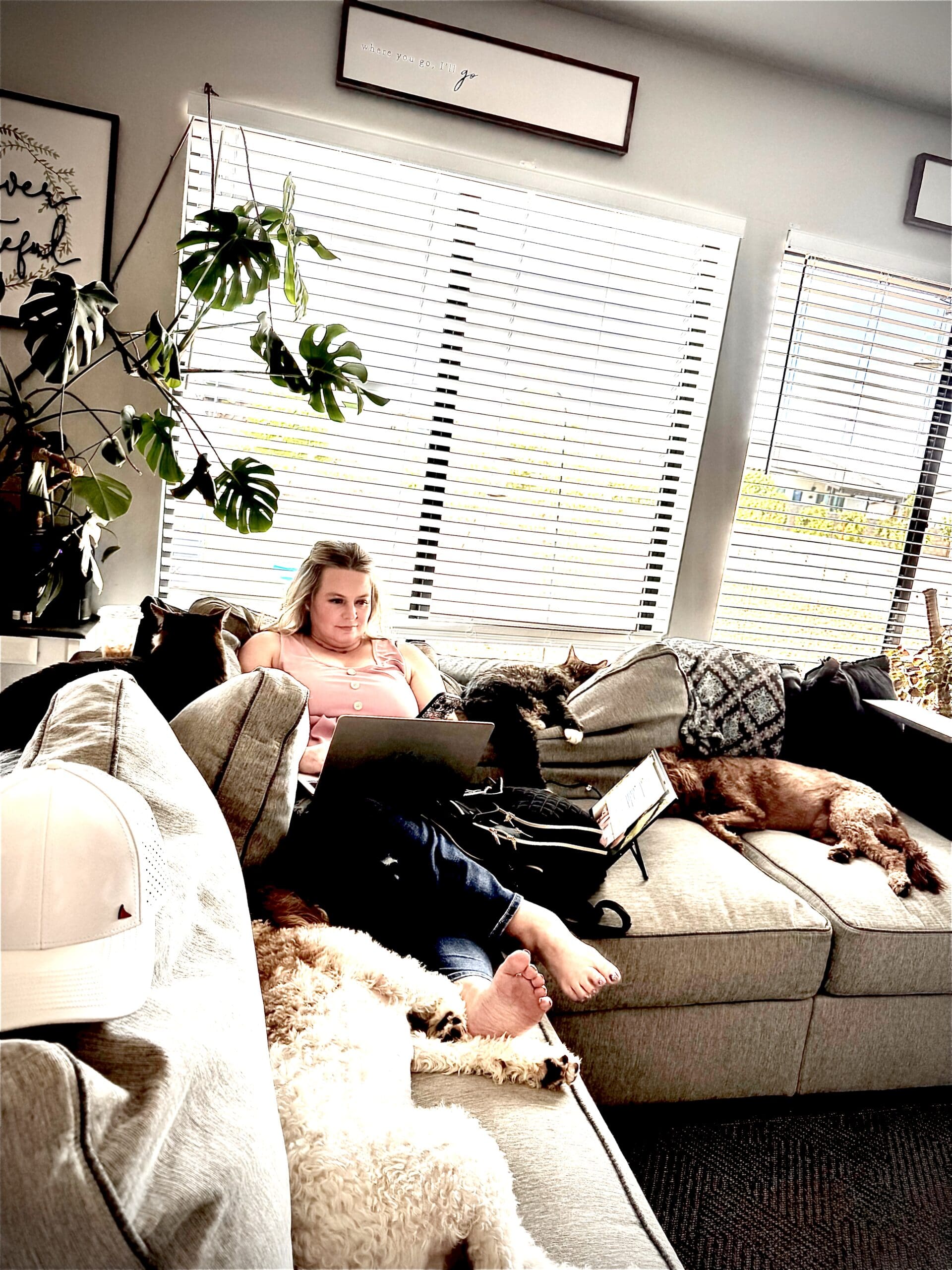 Psych NP working from the couch with 2 dogs and 2 cats sleeping next to her